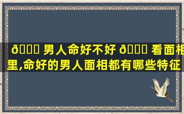 🐕 男人命好不好 🕊 看面相哪里,命好的男人面相都有哪些特征